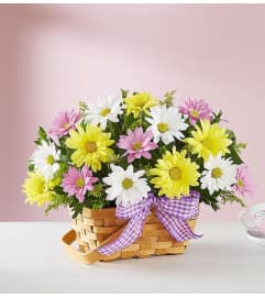 Spring Time Basket. An arrangement by Lynette's Flowers and Gifts.