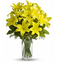 Sunny Lilies. An arrangement by Cambridge Flowers and Co.