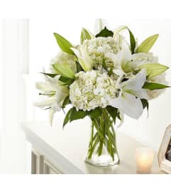 Pure White Elegance Vase. An arrangement by Aventura Glamour Flowers. Pure White Elegance Vase. An arrangement by Aventura Glamour Flowers.