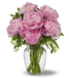 Peonies in pink. An arrangement by Northwest Florist.