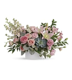 TF Hello Beautiful. An arrangement by Blossoms On The Trail.