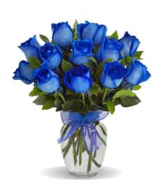 Bold Blue Roses In Love. An arrangement by Shalimar Flower Shop.