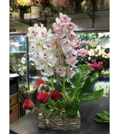 Elegant Cymbidium Orchid. An arrangement by Elegant Florist.