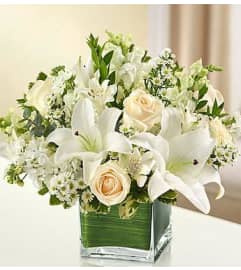 Classic cube, white. An arrangement by Elegant Florist.