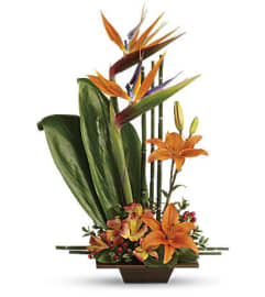 Exotix Lovers. An arrangement by Northwest Florist.