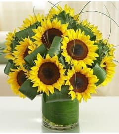 Sunflowers Splendors Glamour. An arrangement by Brickell Exclusive Blooms.