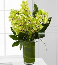 Green Cymbidium Orchid Glamour. An arrangement by Brickell Exclusive Blooms.