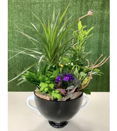 Exquisite Garden Planter in a Premium Hand Blown Polish Vase. An arrangement by Shalimar Flower Shop.