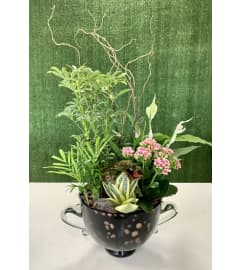 Stunning Planter in a Premium Hand Blown Polish Vase. An arrangement by Shalimar Flower Shop.