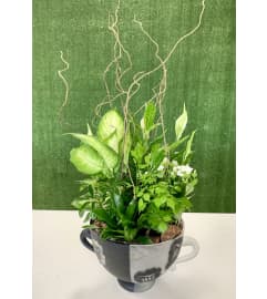 Large Planter Garden in a Premium Polish Vase with Roman Design. An arrangement by Shalimar Flower Shop.