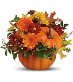 Teleflora's Somethin' Pumpkin Arrangement. An arrangement by Balloon Bouquets Plus. Teleflora's Somethin' Pumpkin Arrangement. An arrangement by Balloon Bouquets Plus.
