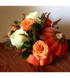 Pumpkin full of roses. An arrangement by Flowers in Bloom.