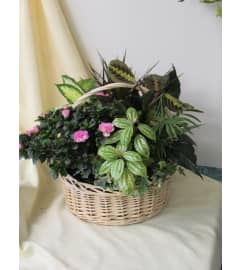 Abundant Planter. An arrangement by Always in Bloom Flower Shop. Abundant Planter. An arrangement by Always in Bloom Flower Shop.