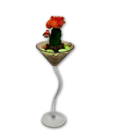Ruby Radiance Cactus Garden in Martini Glass. An arrangement by Shalimar Flower Shop.