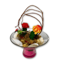 Over The Moon Cactus Garden. An arrangement by Shalimar Flower Shop.