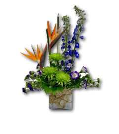 Joyful and Bright Birds of Paradise Floral Arrangement. An arrangement by Shalimar Flower Shop.