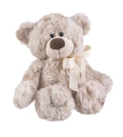 Stuff Toys - Teddy. An arrangement by Jennifer's Flowers and Gifts.