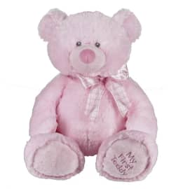 My First Teddy- Blue / Pink. An arrangement by Jennifer's Flowers and Gifts.