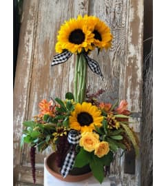 Ray of Sunshine Topiary. An arrangement by Appleblossoms.