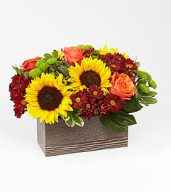 Happy Harvest Garden FTD. An arrangement by Floral Fantasy.