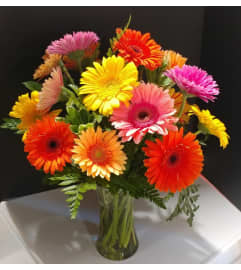 Oh Gerbera. An arrangement by Pandora's Posies.