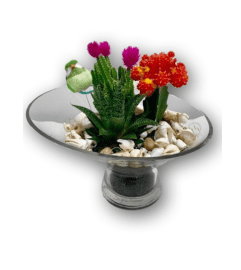 Rustic Cacti in Dish Garden. An arrangement by Shalimar Flower Shop.