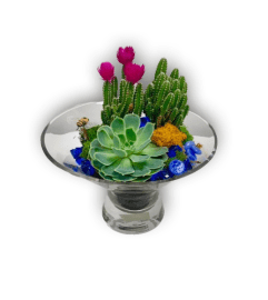 Rustic Plants in Dish Garden with Blue Stone. An arrangement by Shalimar Flower Shop.