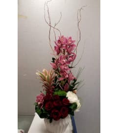 Elegance 0rchid Cimbidium. An arrangement by Rosa Flowers and Gifts.