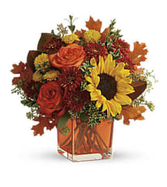 Hi There Autumn. An arrangement by Love Floral.
