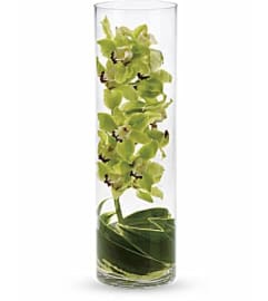 Green Cymbidium Sensation. An arrangement by Aventura Glamour Flowers. Green Cymbidium Sensation. An arrangement by Aventura Glamour Flowers.