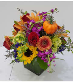 sunflower fall cube. An arrangement by Hooray's From Hollywood Inc. sunflower fall cube. An arrangement by Hooray's From Hollywood Inc.