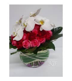 Eclectic Phalaenopsis. An arrangement by Brickell Exclusive Blooms.