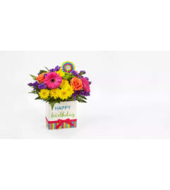 Bright Surprise. An arrangement by Novak's Flower Shoppe.