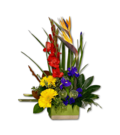 Bold and Beautiful Colourful Arrangement. An arrangement by Shalimar Flower Shop.
