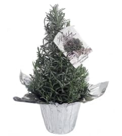 Christmas Lavender Tree. An arrangement by Cambridge Flowers and Co.
