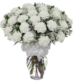 12 White Carnations in vase. An arrangement by Shalimar Flower Shop.