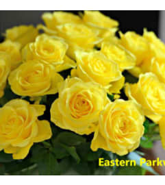 Yellow Selection. An arrangement by Crown Heights Florist and Fruit Baskets.