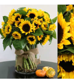 Summer of Sun. An arrangement by Crown Heights Florist and Fruit Baskets.