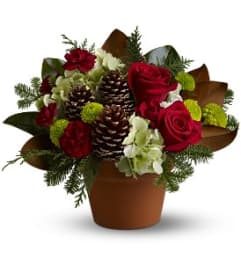 Christmas Centerpiece. An arrangement by Jennifer's Flowers and Gifts.