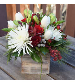 Rustic Christmas Jubilee. An arrangement by The Greenhouse Florist.