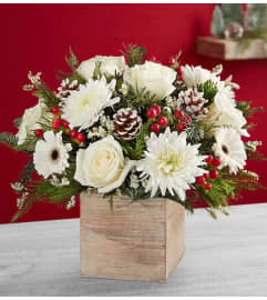 Nutcracker Christmas Cube. An arrangement by Brickell Ave Florist.