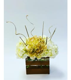 Luxurious Gold Hydrangea. An arrangement by Cambridge Flowers and Co.