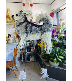 Husky Floral Tribute. An arrangement by Sonia's Florist.