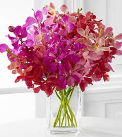 Pink Mokara Orchids. An arrangement by Brickell Exclusive Blooms.