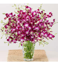 Purple Dendrobium Orchids Glamour. An arrangement by Brickell Exclusive Blooms.