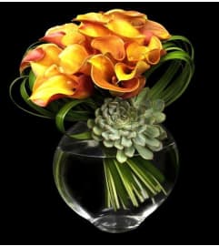 Calla Sunset. An arrangement by Brickell Exclusive Blooms.