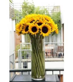 Sun is Shining Bouquet. An arrangement by Brickell Exclusive Blooms.