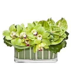 Sublime Tropical. An arrangement by Brickell Exclusive Blooms.