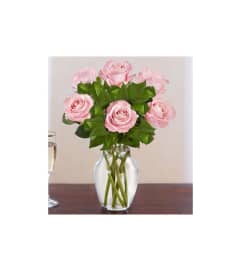 6 LIGHT PINK ROSES. An arrangement by Spring Branch Florist.