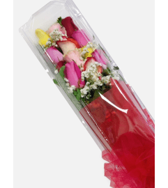 Multicoloured Boxed Roses. An arrangement by Hillcrest Florist.